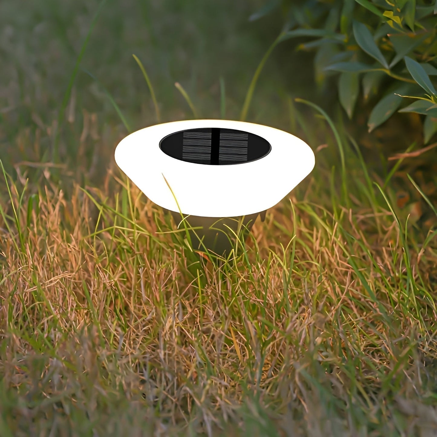 Solar-Powered LED Garden Path Light with Warm Ambient Glow