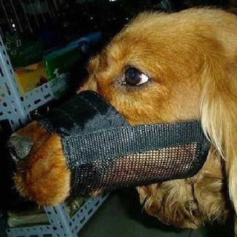 Adjustable Mesh Dog Muzzle for Barking and Chewing