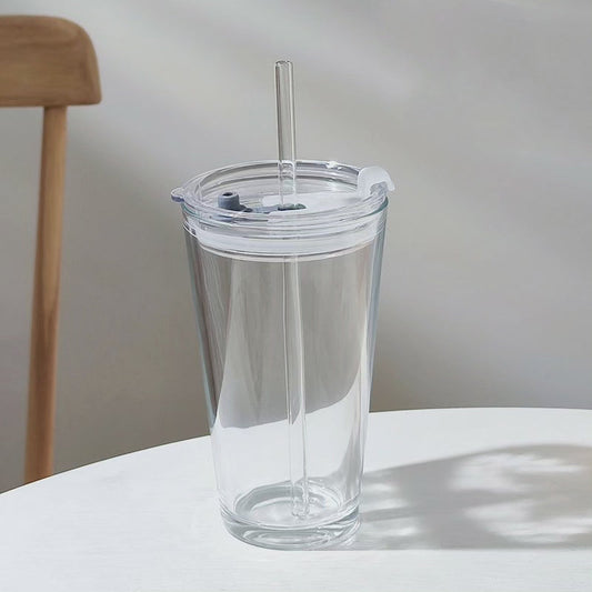 Transparent Borosilicate Glass Tumbler with Lid and Straw, 17 oz