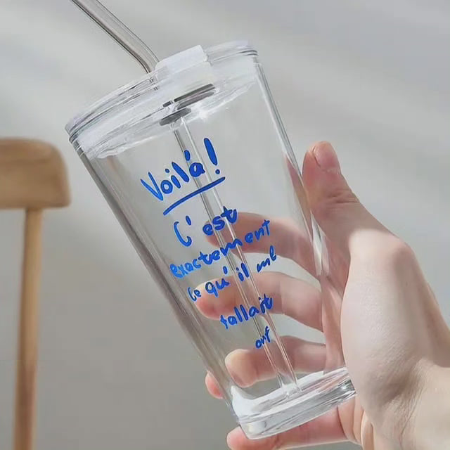 Transparent Borosilicate Glass Tumbler with Lid and Straw, 17 oz