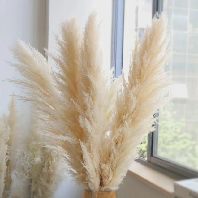 Large Fluffy Pampas Grass Stems - Dried Decorative Plumes