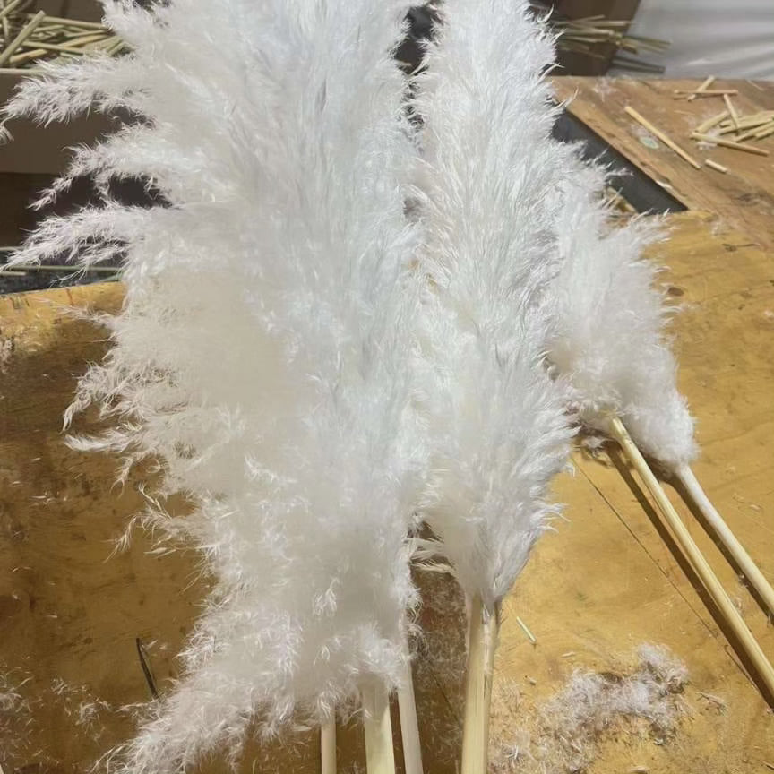 Large Fluffy Pampas Grass Stems - Dried Decorative Plumes