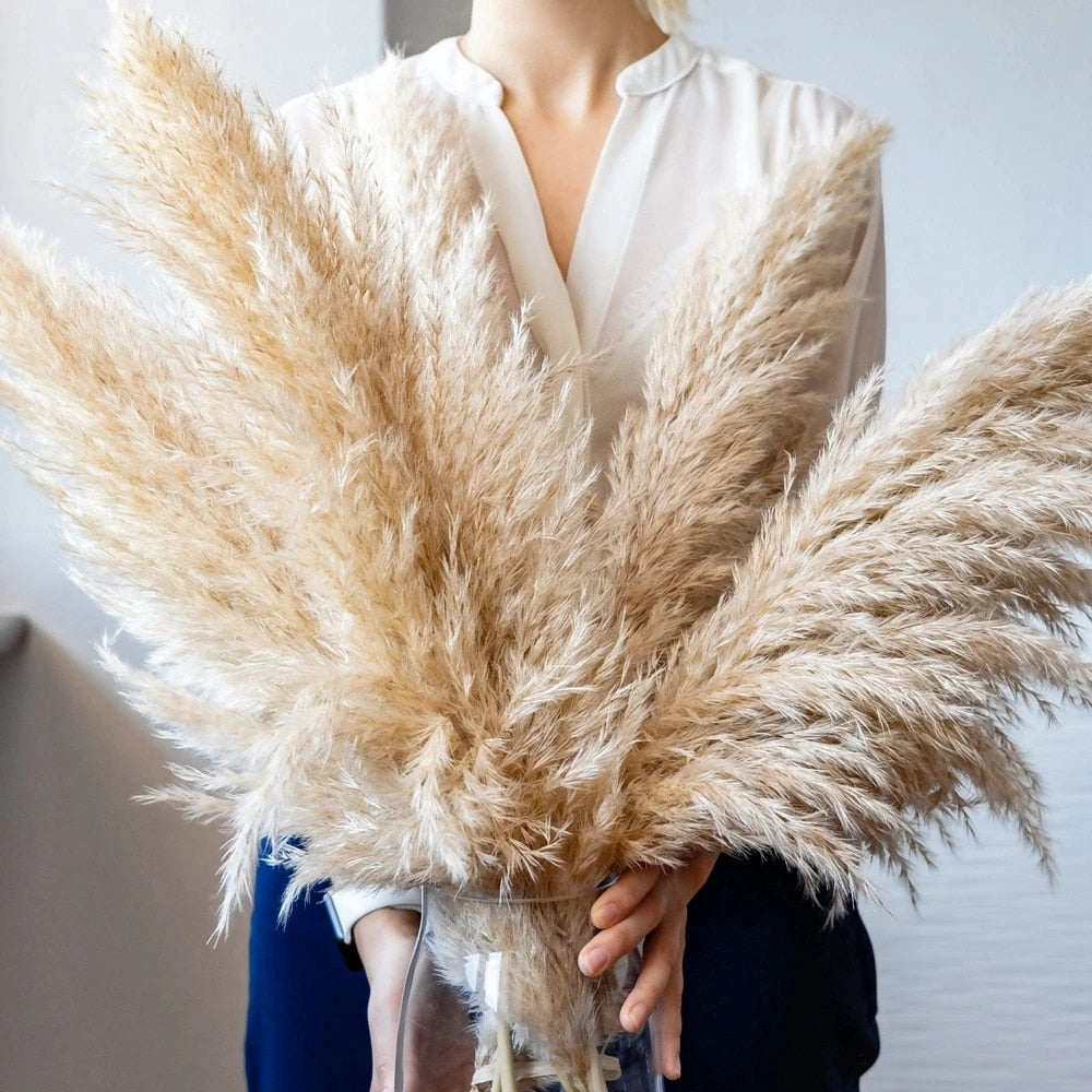 Dried Pampas Grass Flowers - Natural Boho Decor