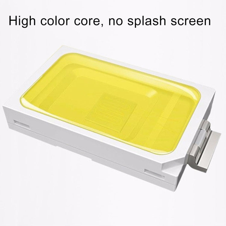 10W Waterproof Solar Floodlight with Remote Control and 100 LEDs
