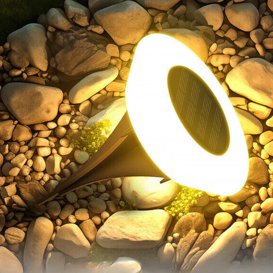 Solar LED Garden Pathway Lights with Automatic Dusk-to-Dawn Sensor