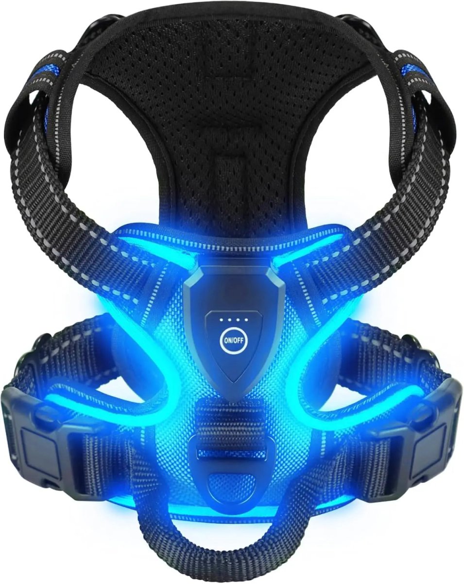 Rechargeable LED Dog Harness with Adjustable Fit and Three Light Modes