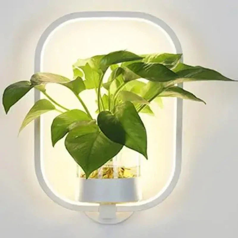 Plant Wall Light Sconce - Modern Iron and Glass Fixture