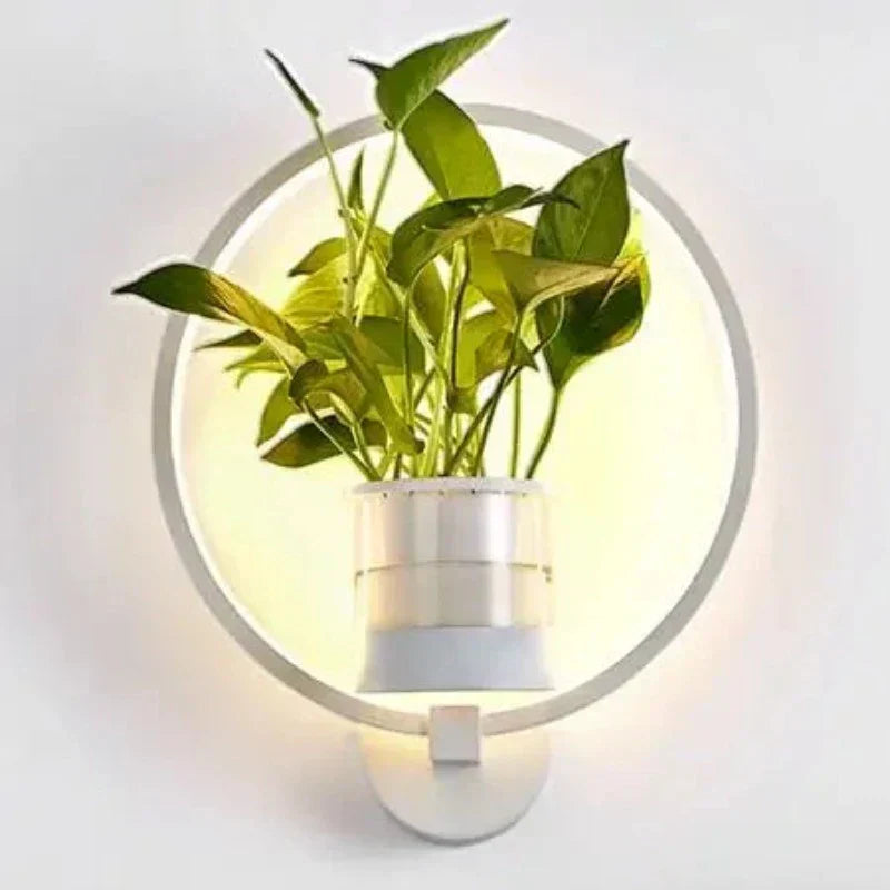 Plant Wall Light Sconce - Modern Iron and Glass Fixture