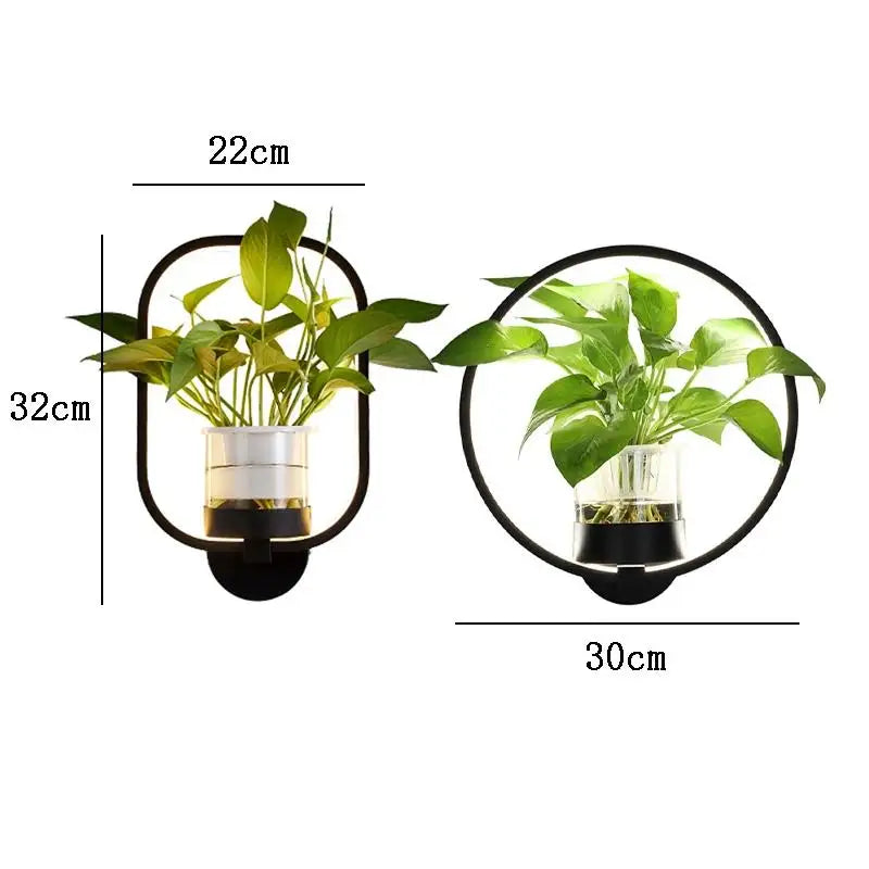 Plant Wall Light Sconce - Modern Iron and Glass Fixture