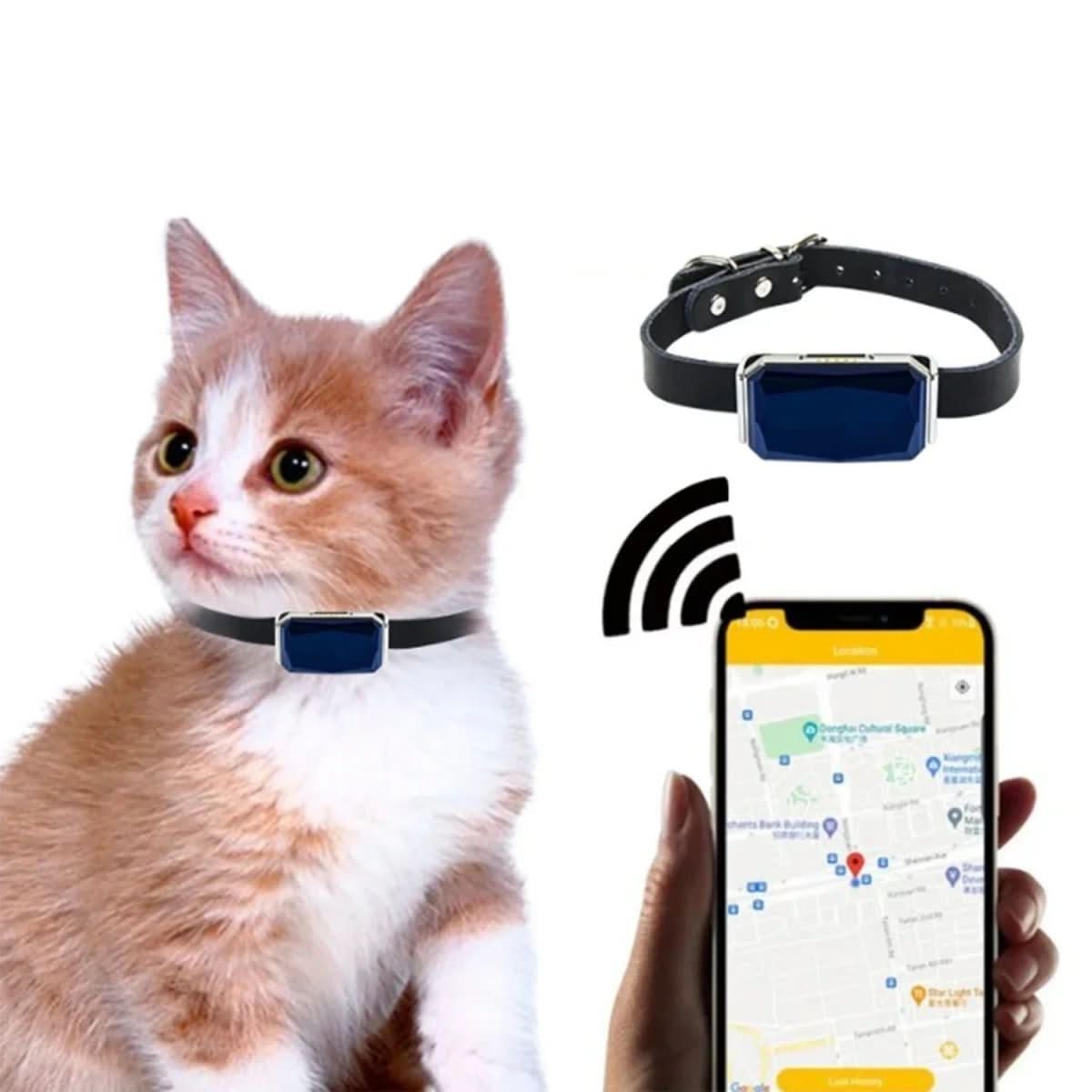 Compact Real-Time GPS Tracker for Pets, Kids, and Valuables