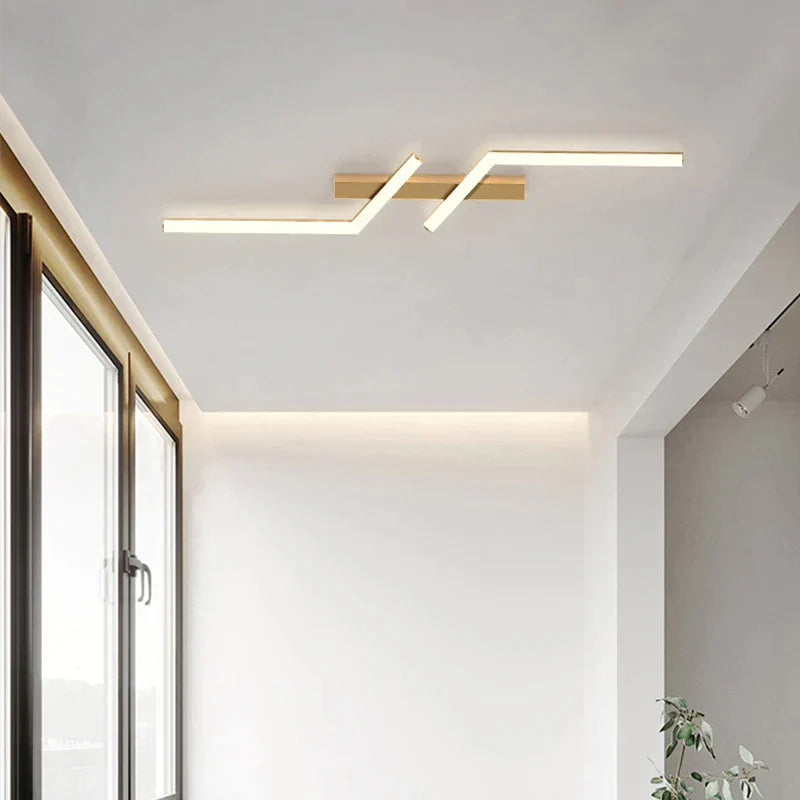 Modern LED Ceiling Light with Adjustable Brightness