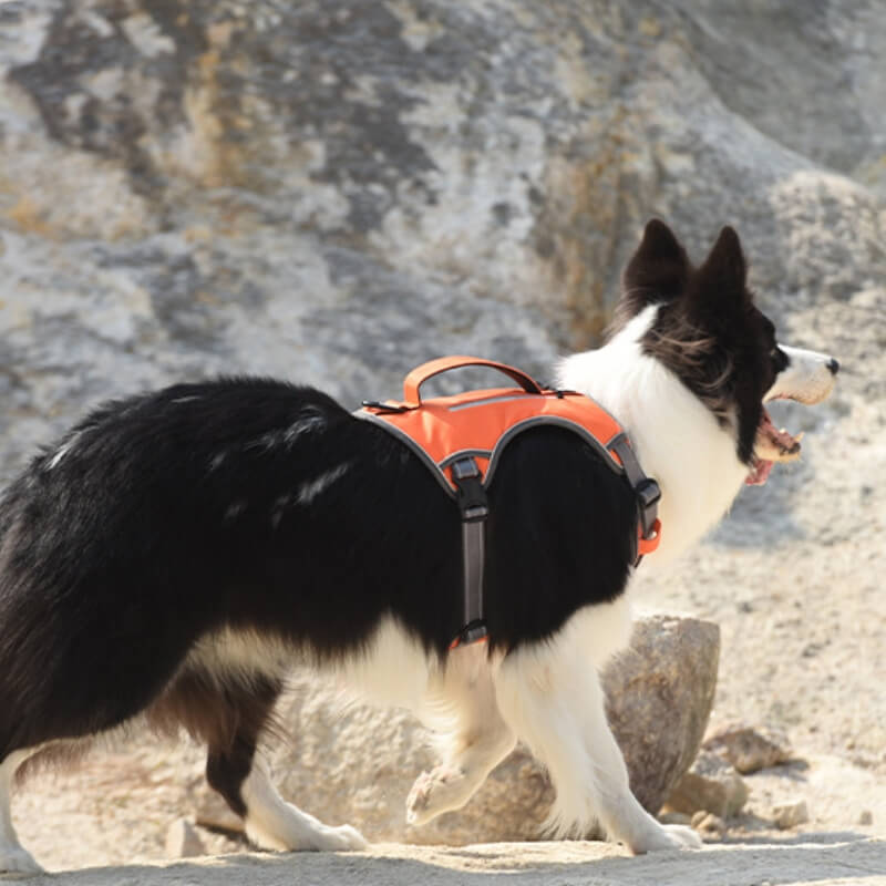 Multifunctional Anti-Pull Harness for Medium to Large Dogs