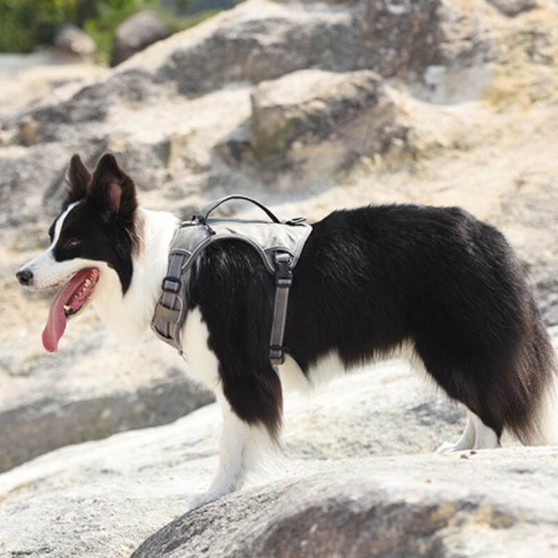 Multifunctional Anti-Pull Harness for Medium to Large Dogs