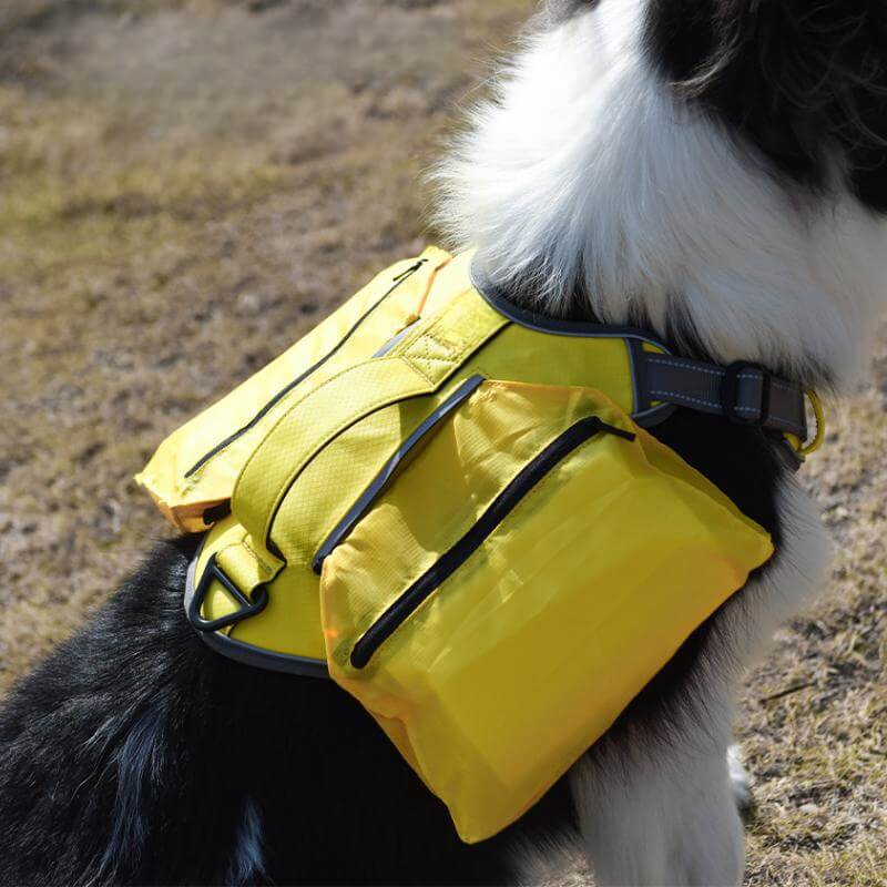 Multifunctional Anti-Pull Harness for Medium to Large Dogs