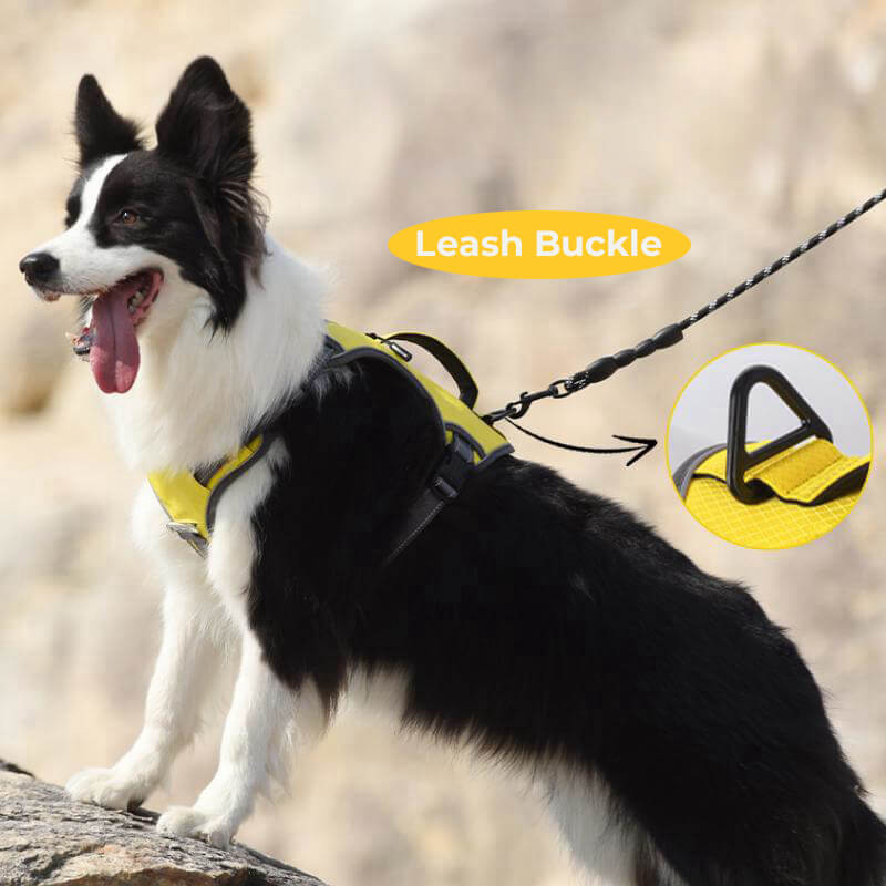 Multifunctional Anti-Pull Harness for Medium to Large Dogs