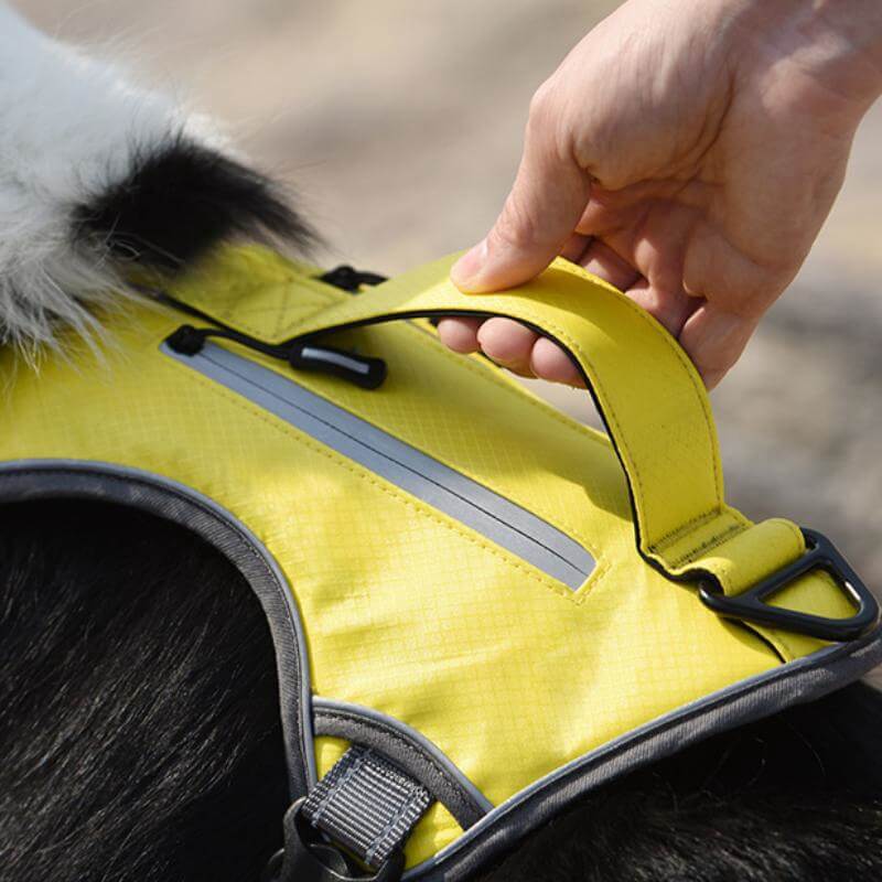 Multifunctional Anti-Pull Harness for Medium to Large Dogs