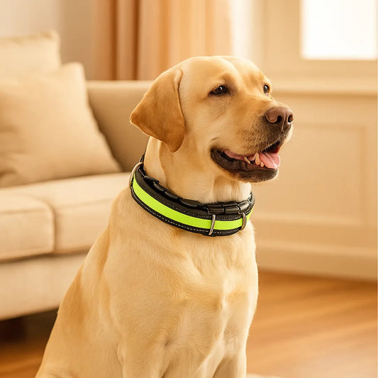 No-Pull Adjustable Stainless Steel Dog Training Collar