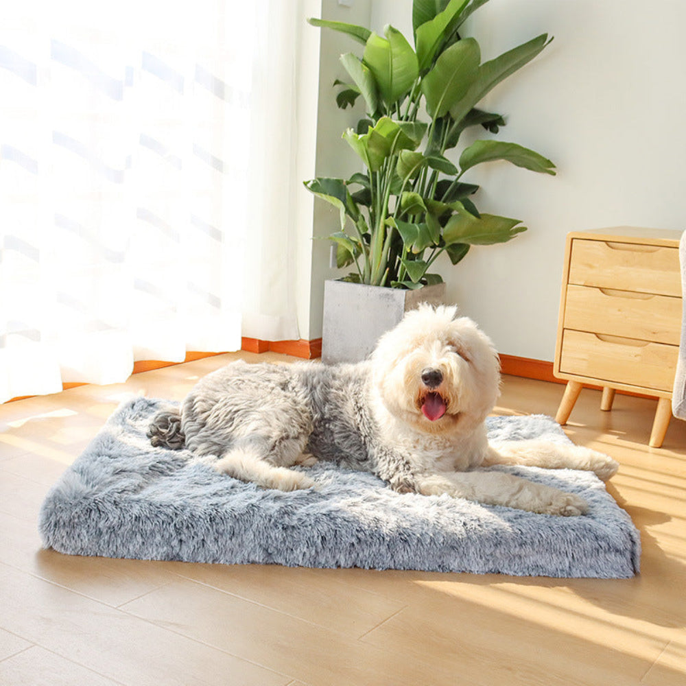 Memory Foam Dog Pillow for Joint Support and Comfort
