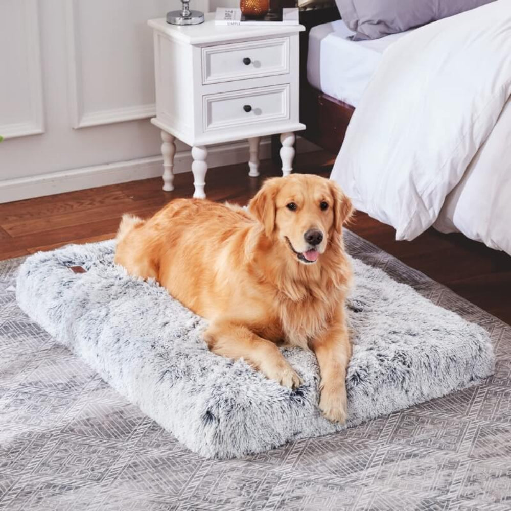Memory Foam Dog Pillow for Joint Support and Comfort
