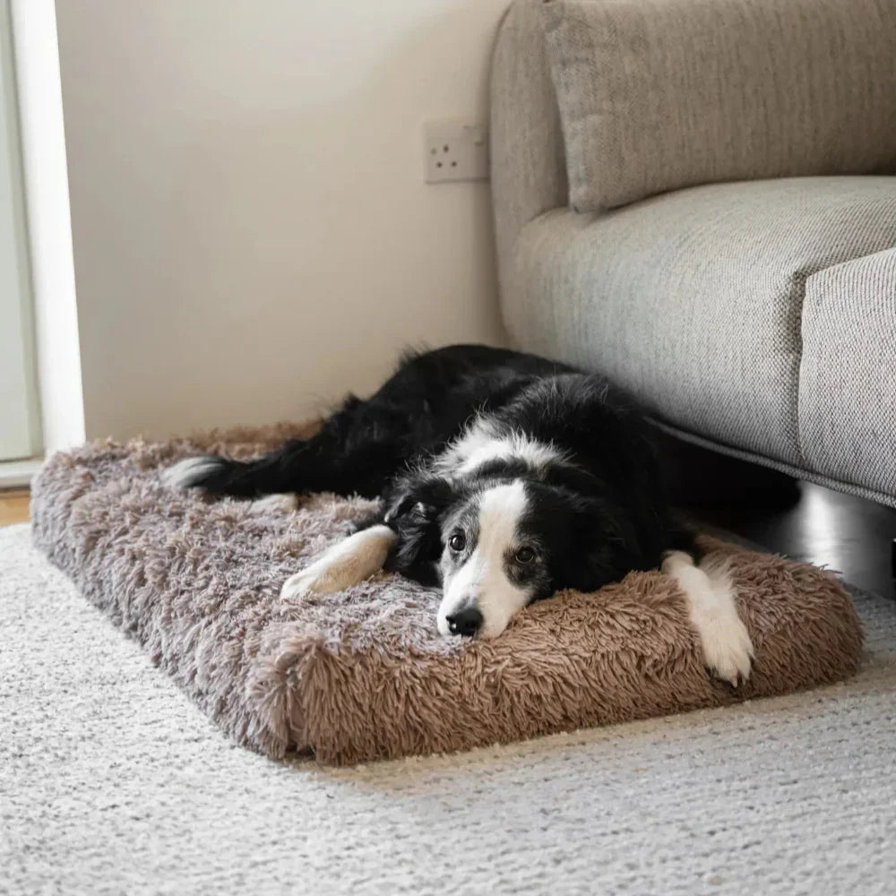 Memory Foam Dog Pillow for Joint Support and Comfort