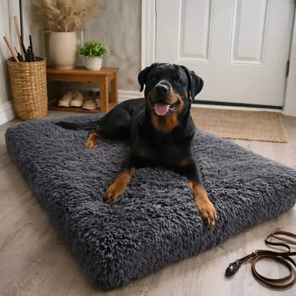 Memory Foam Dog Pillow for Joint Support and Comfort
