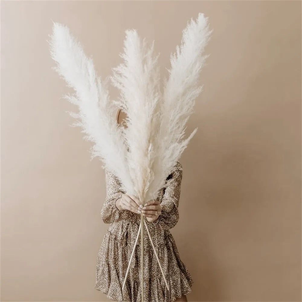 Dried Pampas Grass Flowers - Natural Boho Decor