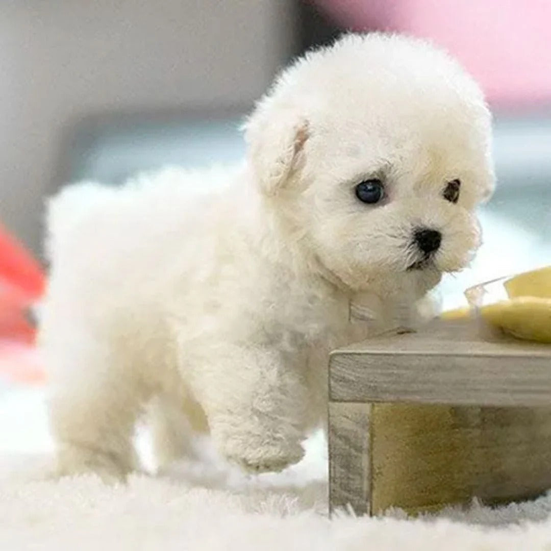 Interactive Plush Robotic Dog Toy with Realistic Movements