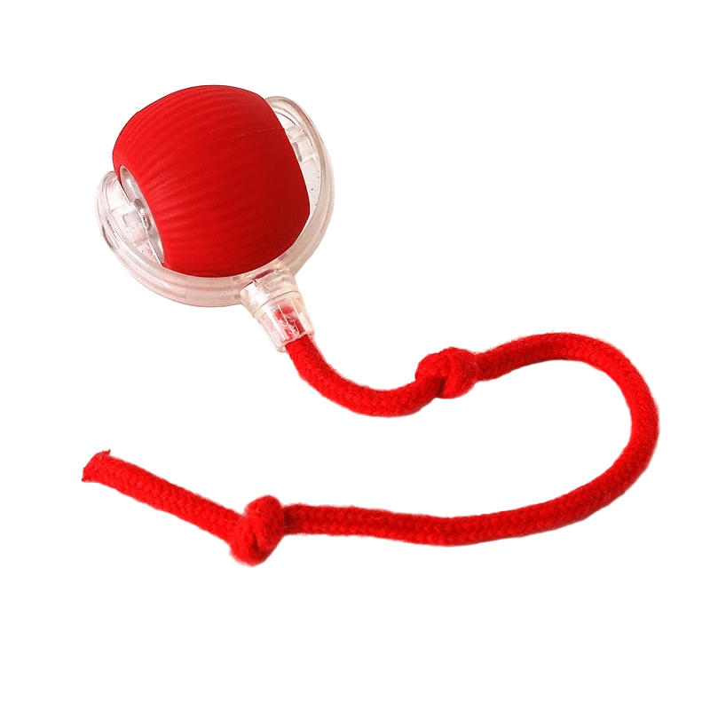 Interactive Rechargeable Dog Ball with Automatic Movement