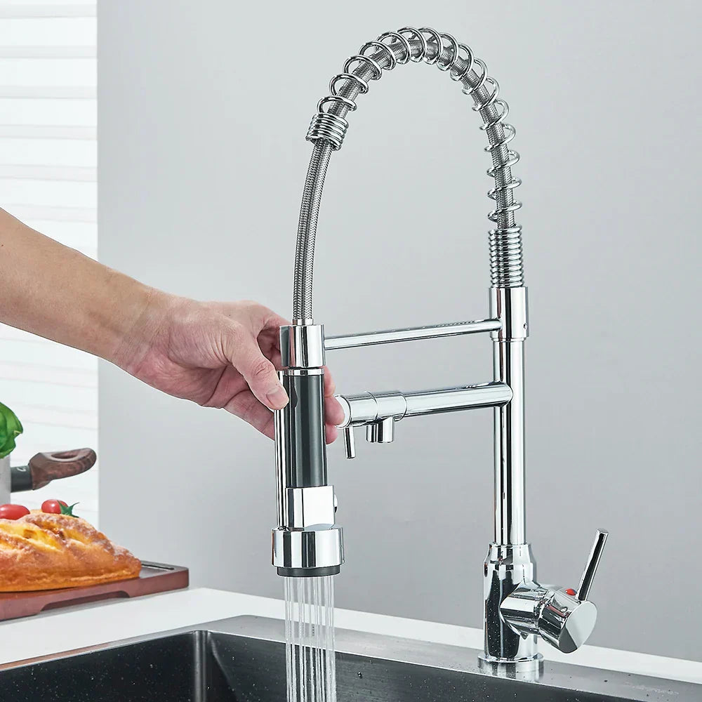 Stainless Steel Kitchen Faucet with Dual Outlet and Modern Design