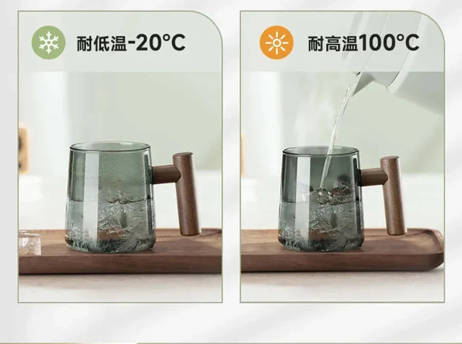 Heat-Resistant Glass Tea Cup with Strainer and Lid