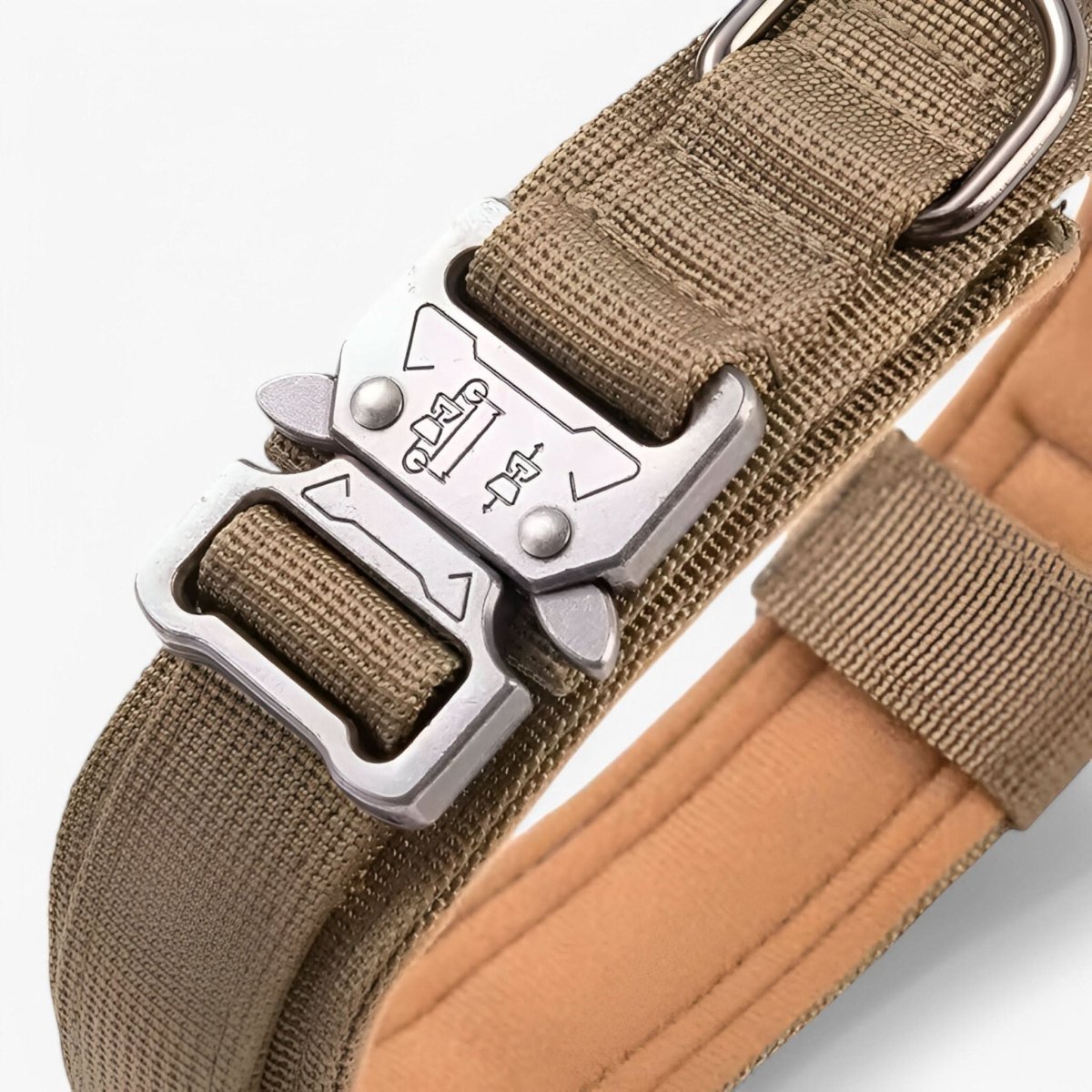 Durable Adjustable Dog Collar with Padded Comfort and Control Handle
