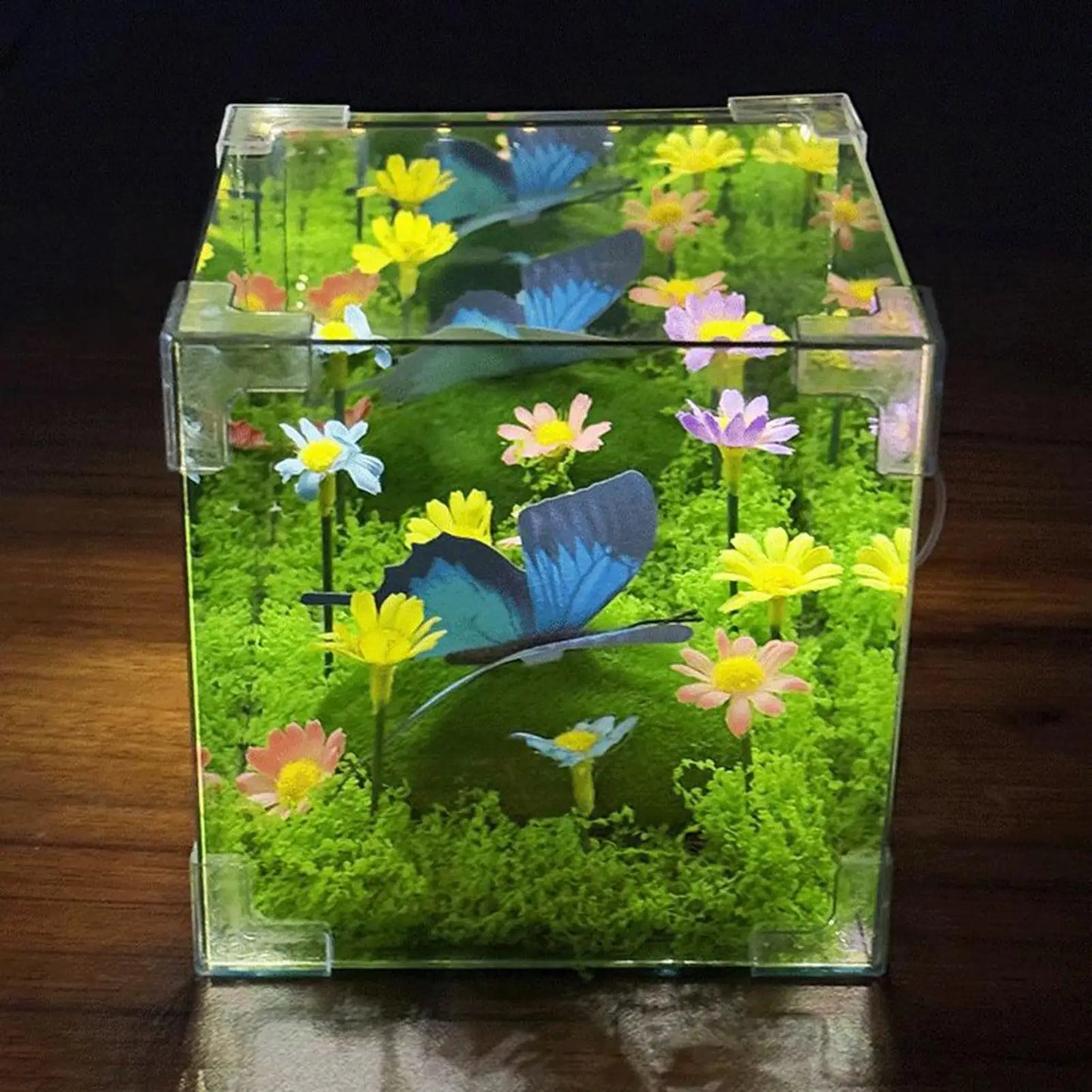 LED Butterfly Cube Night Light Decor