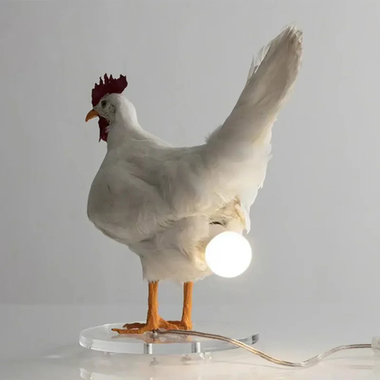 Farmhouse Chicken Table Lamp with Warm Light