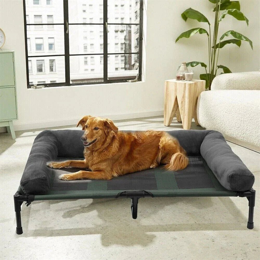 Elevated Outdoor Dog Bed for Garden and Camping