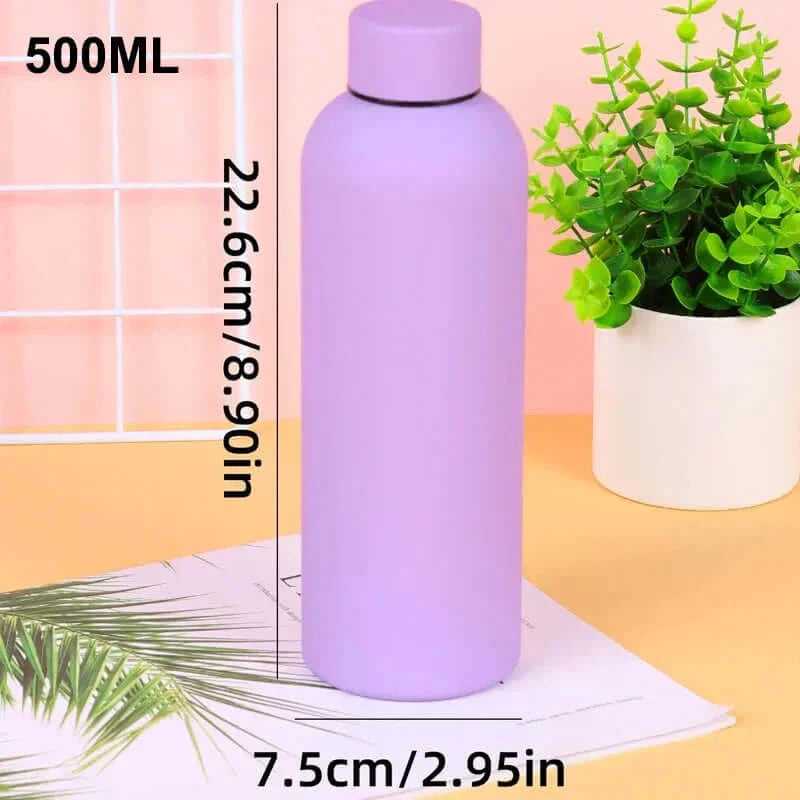 Stainless Steel Insulated Water Bottle 17 oz 25 oz