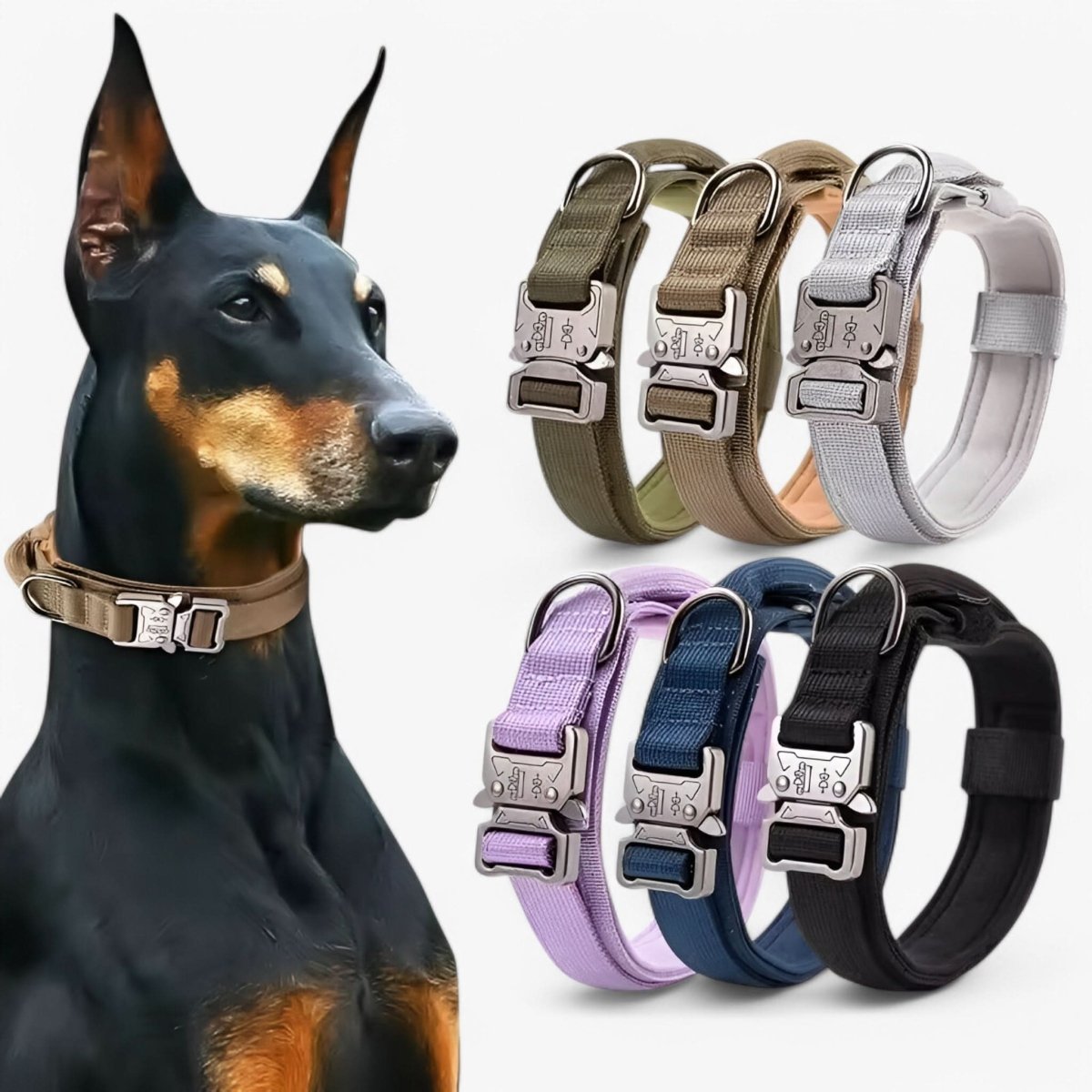 Durable Adjustable Dog Collar with Padded Comfort and Control Handle