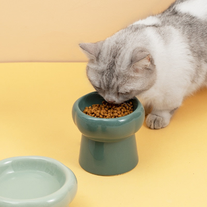Ceramic Elevated Cat Bowls for Comfortable Feeding