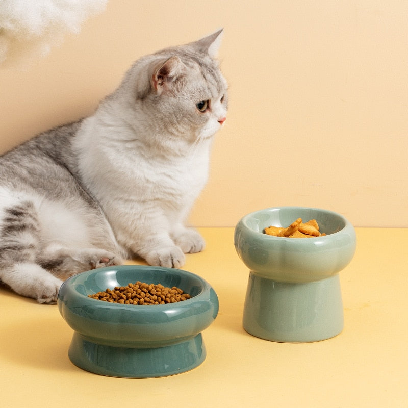 Ceramic Elevated Cat Bowls for Comfortable Feeding