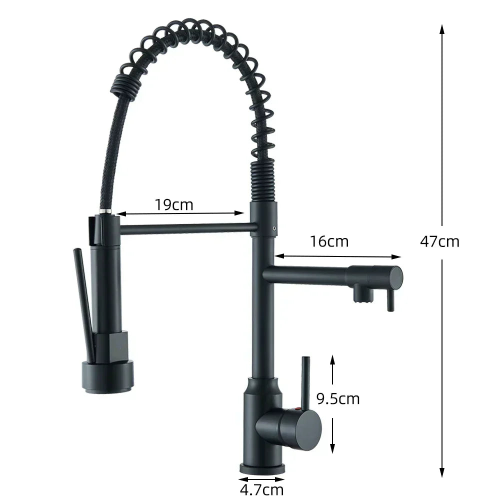 Stainless Steel Kitchen Faucet with Dual Outlet and Modern Design