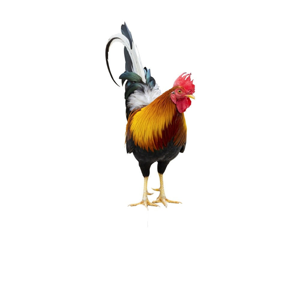 Acrylic Feathered Bird Garden Figure
