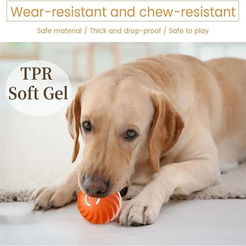 Interactive Rechargeable Dog Ball with Automatic Movement