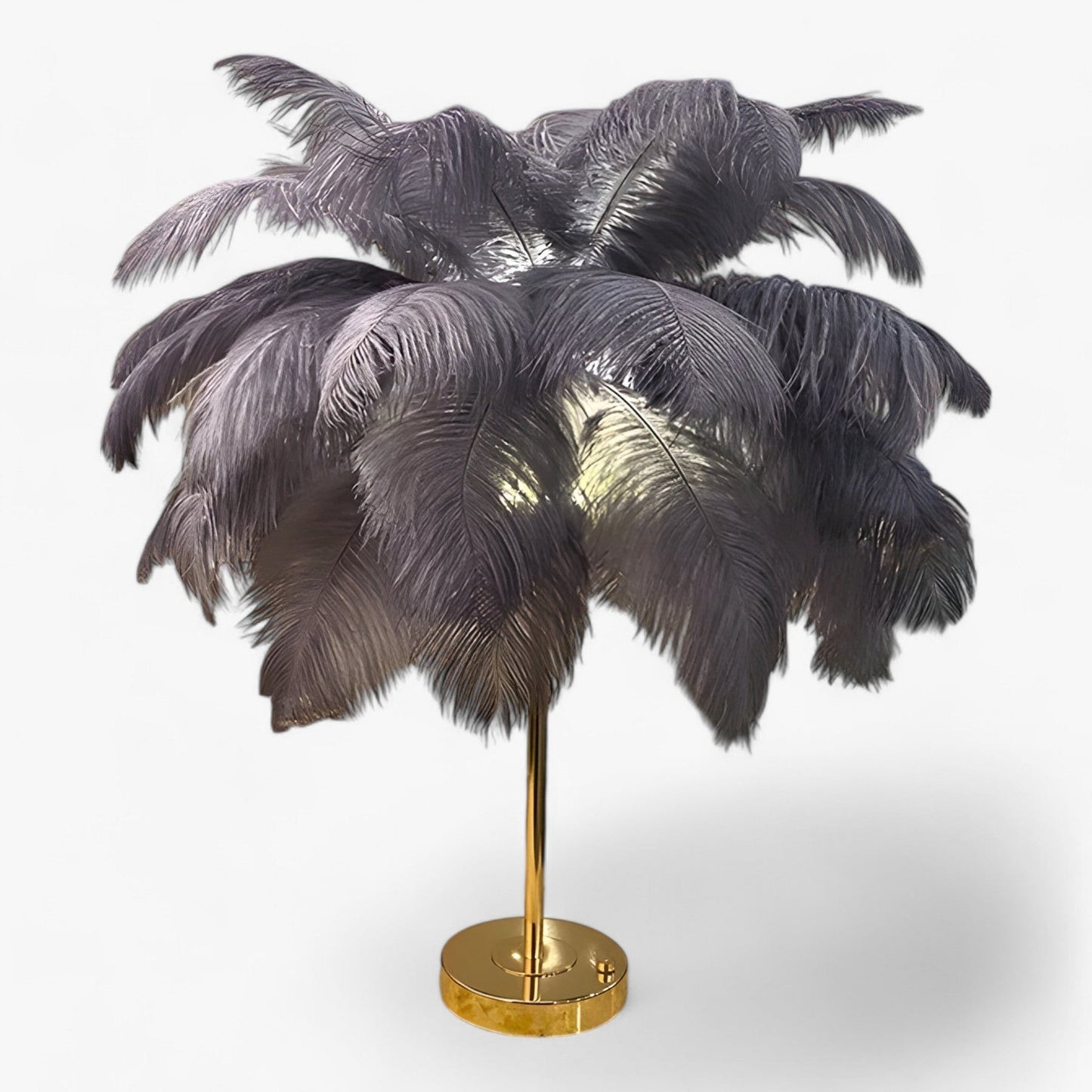 Elegant LED Desk Lamp with Feather Accents
