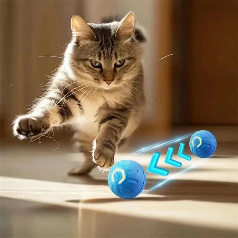 Interactive Rechargeable Dog Ball with Automatic Movement