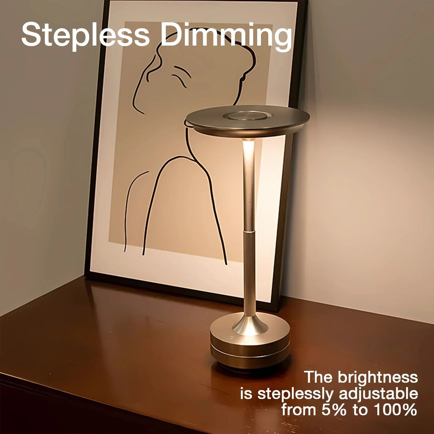 Cordless Rechargeable Touch Control Table Lamp with Dimmable LED and Stainless Steel Finish