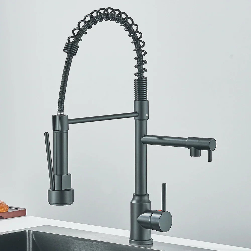 Stainless Steel Kitchen Faucet with Dual Outlet and Modern Design