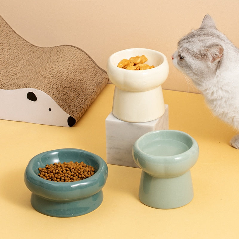 Ceramic Elevated Cat Bowls for Comfortable Feeding