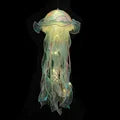 Jellyfish-Shaped LED Night Light with Adjustable Brightness