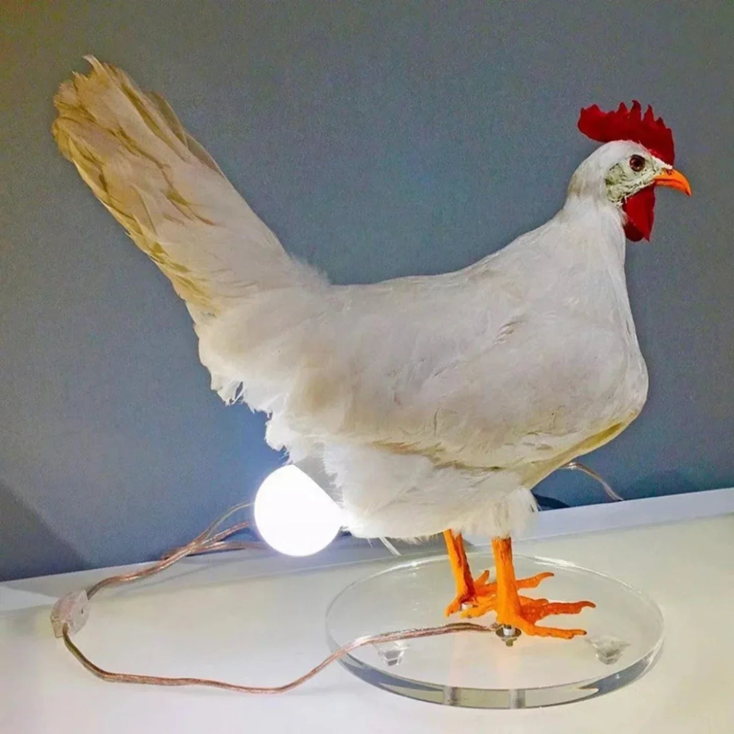Farmhouse Chicken Table Lamp in ABS Material