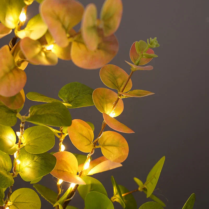 Tree Lamp with Removable Base and Soft Illumination