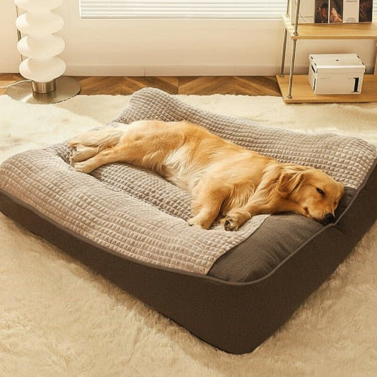 Large Orthopedic Dog Bed with Scratch-Resistant Cover and Elevated Head Support